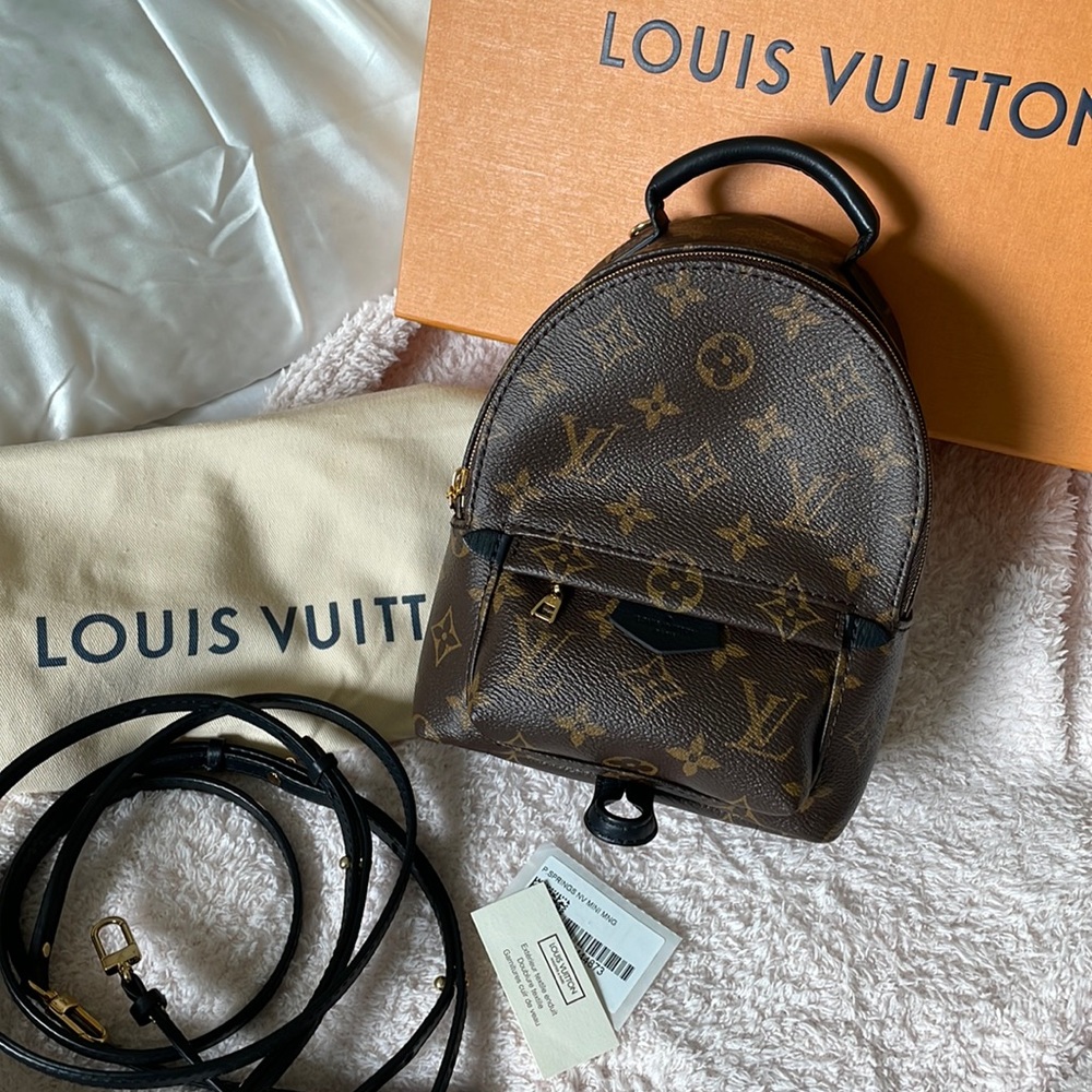 Louis Vuitton Palm Springs Mini Backpack Monogram
